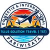tulussolution.com