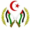 fraynti1