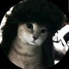 that_polish_cat