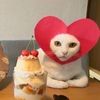 alisa_isnotpretty