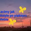 motyle_zawsze_razem
