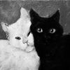 meowster_9