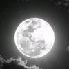 user5105601650005