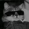 rowrr_g1kzs