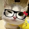 nomnomnomiscool