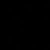 swetyiput