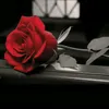 arya_hedayat