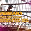 mb.perdana