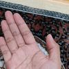 maz_akila7
