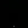 simon_snrr
