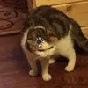 m_.naj