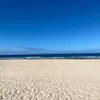 flosch_487