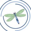 dragonflybuzz