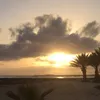 nadiagorabi335
