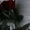 user3819411999781