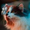 sousita035