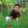 mdmustofasadi