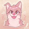 nbo_echo