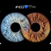 aya_zakho37