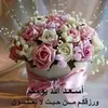 hibasalim17