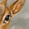 zainab_zaz5