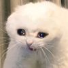felicidad_sad