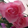 mony6967