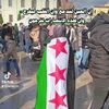 tavsan_m