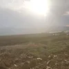 albadri_9797