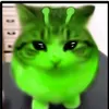 gato_idk3