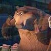 boogthebear0