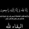 user5495144090635