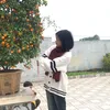 ngocanh15529