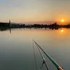 thecuong.tc