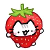 cat_cute570