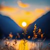 senja_desember1