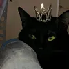 snntmaria