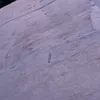chek_reposti91