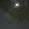 kynazz_7
