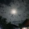 doss_11231