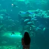ng_diepanh208