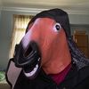 the_doctor3796