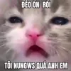 seetinhuongstink