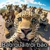 adfsggsjshbbx1737v