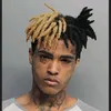 xxx.rip_rex