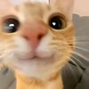 rellll_hua06
