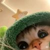 xxxmiawmiao