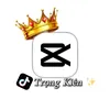 trongkien2x