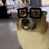 divockcharless