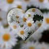 meryemb35